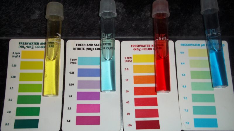 The Importance of Water Quality Testing
